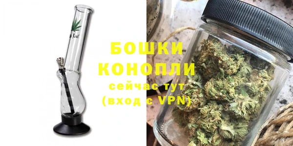 прущие грибы Белоозёрский