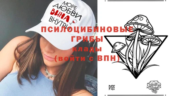 дмт Беломорск